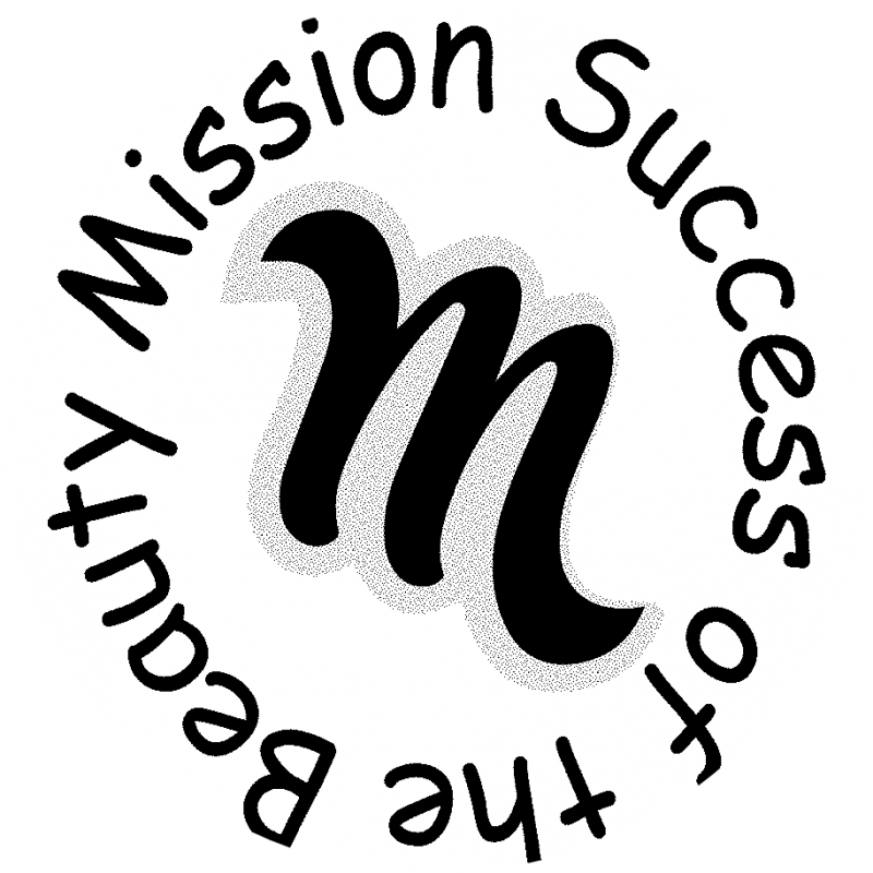 Missionsuccess